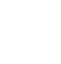 Corporate Investigations